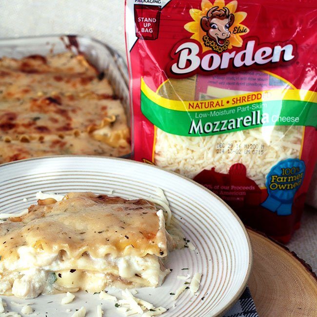 Creamy White Chicken Lasagna {Recipe}