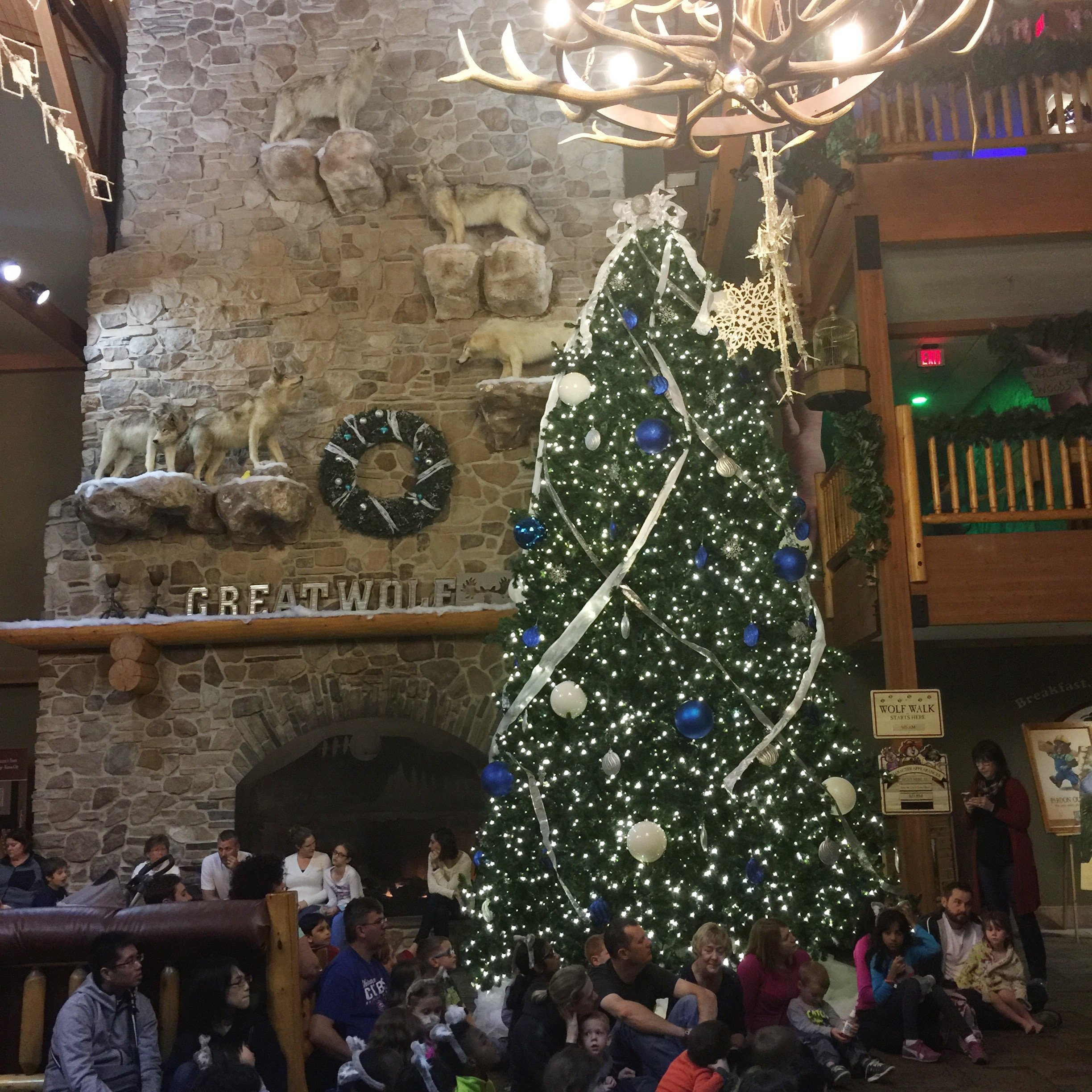 We had a howling great time! {Great Wolf Lodge Recap}